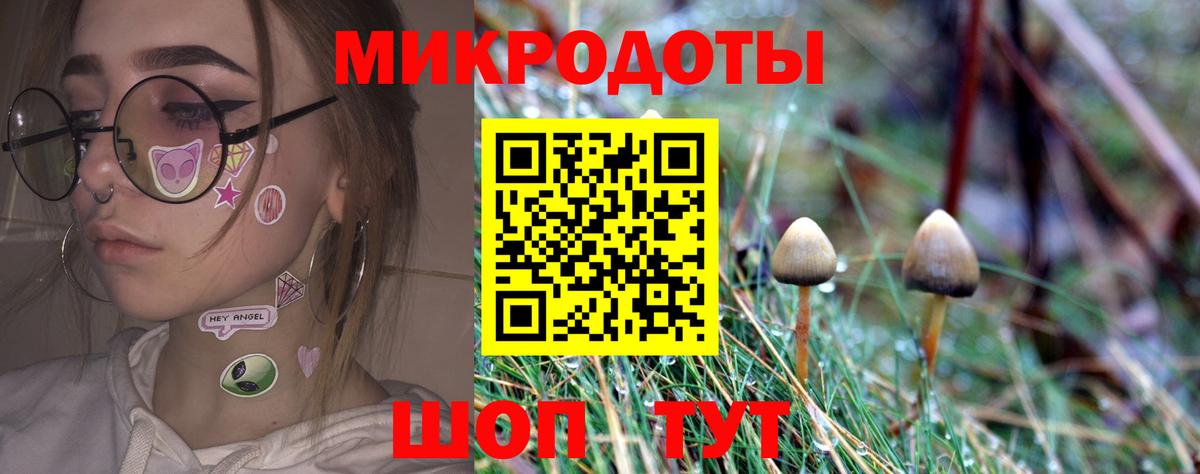 Свободный  Галлюциногенные грибы Cubensis  Вход с VPN 